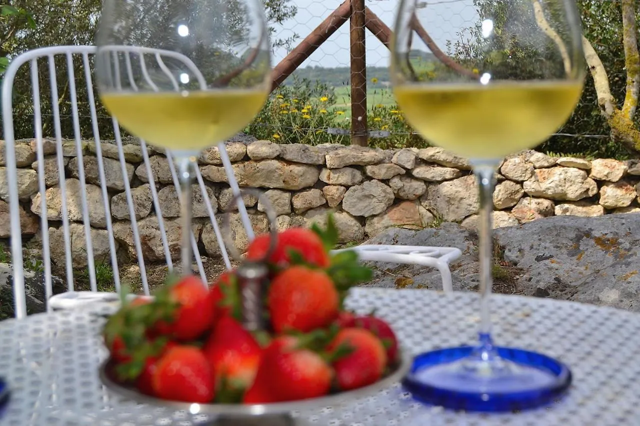 Holiday home 001 Finca Son Lleig Etv5701 By Mallorca Charme Muro